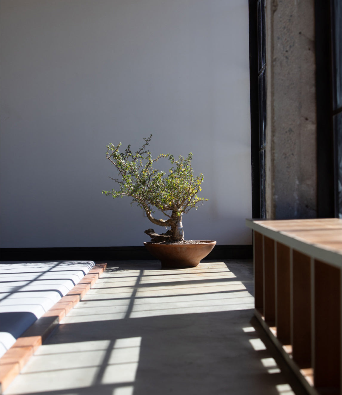 Sunlit closeup of the gym, showing storage bench and corner of the mat