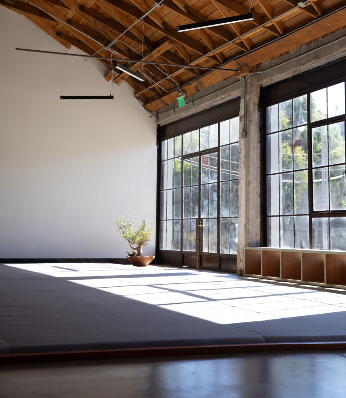 A corner view of the mat space showcasing floor to ceiling windows that allow lots of natural light inside the training facility.