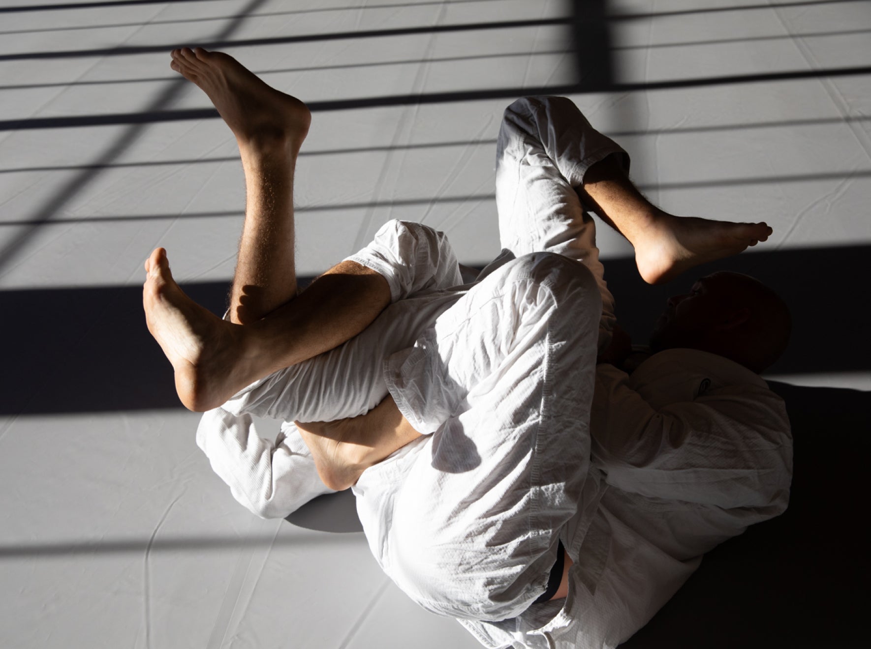 Training at Frogtown Jiu Jitsu in a clean, beautiful, and sun-filled environment