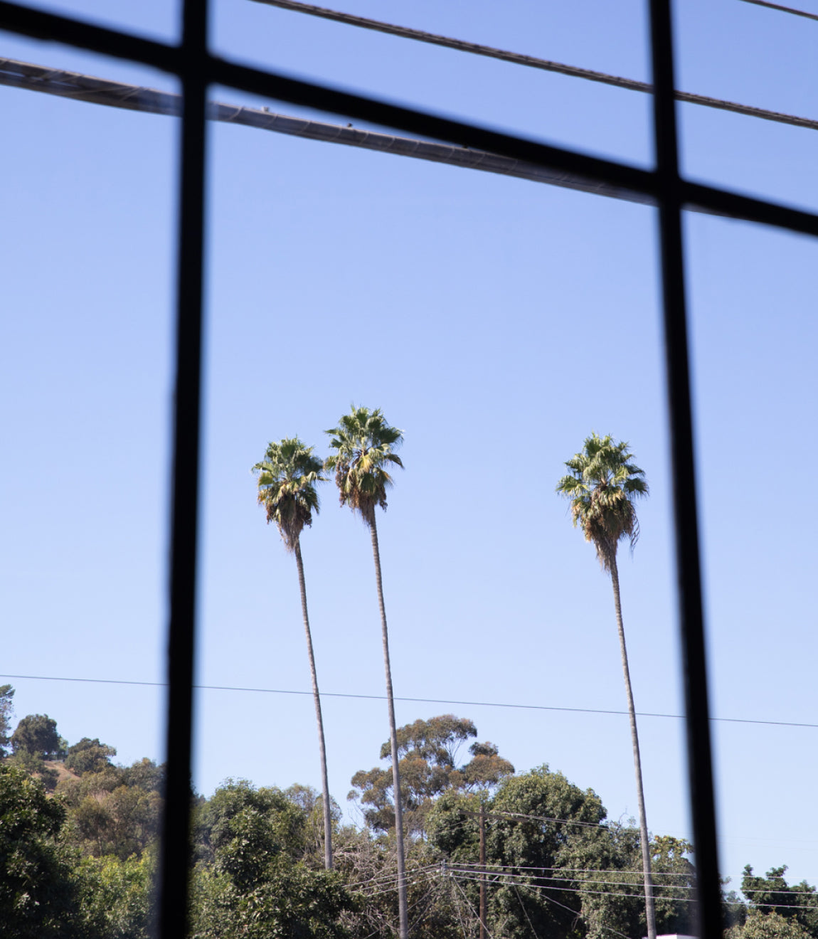 Views of Frogtown and Elysian Valley outside of the gym's windows